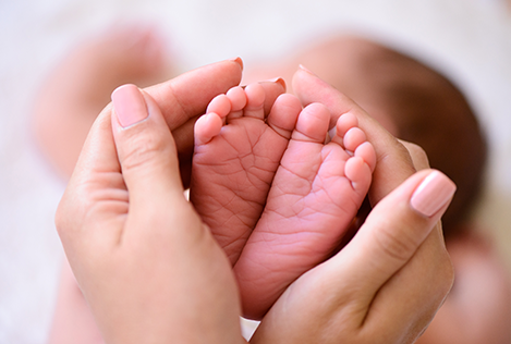 Midwives Desktop